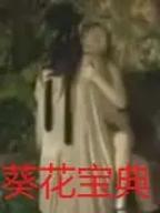 《葵花宝典》台湾