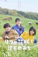 丁香花高清完整版播放